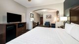 <b>Best Western Plus Lake Dallas Inn & Stes Suite</b>. Images powered by <a href="https://iceportal.shijigroup.com/" title="IcePortal" target="_blank">IcePortal</a>.