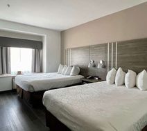 Best Western Roanoke Inn & Suites Room