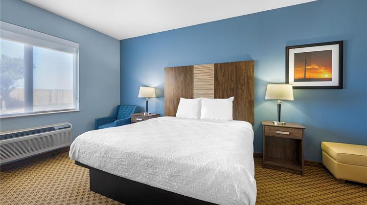 Best Western South Plains Inn & Suites Room