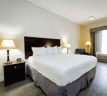 Best Western Sugarland Inn Room