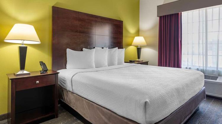 Best Western Plus Mansfield Inn & Suites Room