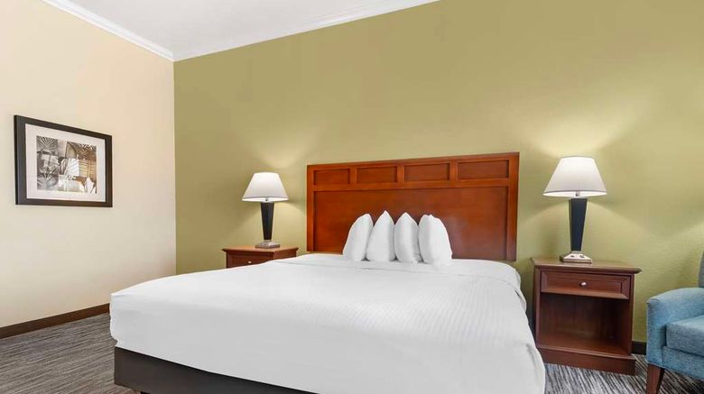 <b>Best Western Hebbronville Inn Room</b>. Images powered by <a href="https://iceportal.shijigroup.com/" title="IcePortal" target="_blank">IcePortal</a>.