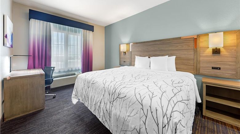 <b>Best Western Plus San Antonio East & Sts Suite</b>. Images powered by <a href="https://iceportal.shijigroup.com/" title="IcePortal" target="_blank">IcePortal</a>.