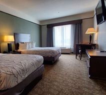 Best Western Plus Emory at Lake Fork Room