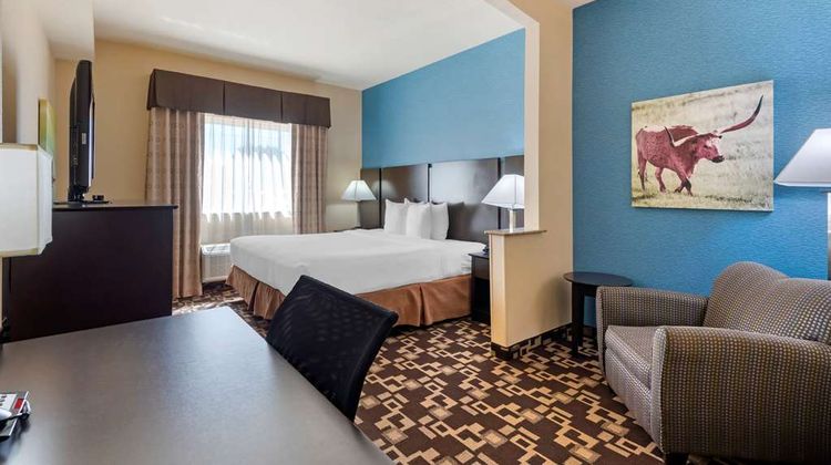 Best Western Plus Arlington North Hotel Room