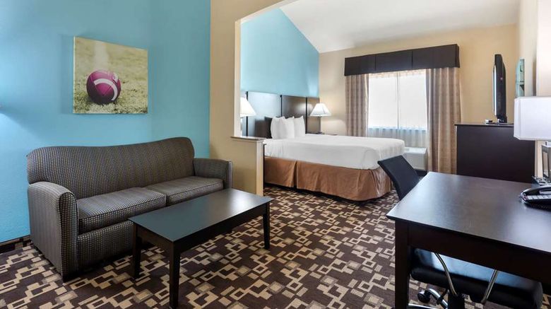 <b>Best Western Plus Arlington North Hotel Room</b>. Images powered by <a href="https://iceportal.shijigroup.com/" title="IcePortal" target="_blank">IcePortal</a>.