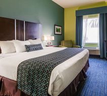Best Western Plus Carrizo Springs Inn Room