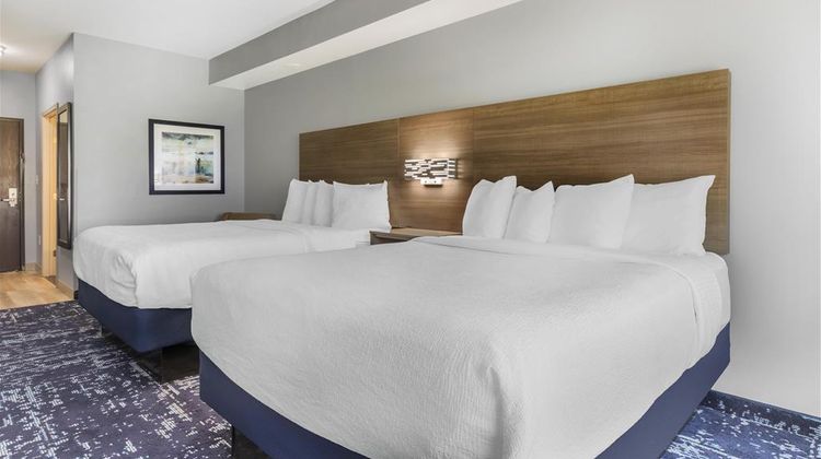 Best Western Plus Forest Hill Room