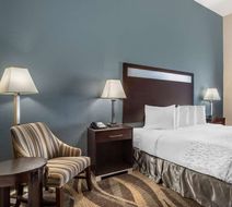 Best Western Plus Lake Jackson Room