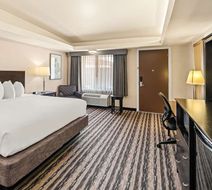 Best Western Coral Hills Room