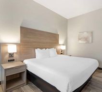 Best Western of Wise Room