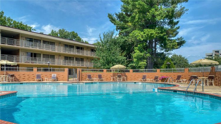 Best Western Fairfax Pool