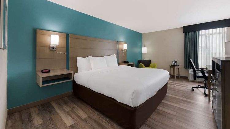 Best Western Hampton Coliseum Inn Room