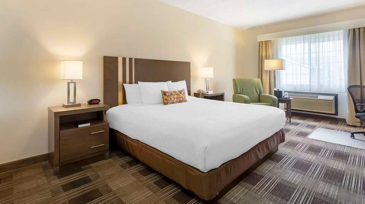 Best Western Plus Inn at Horse Heaven Room