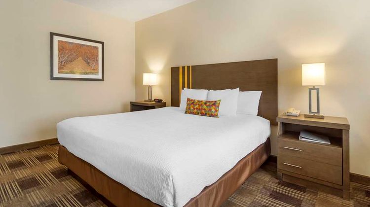 Best Western Plus Inn at Horse Heaven Room