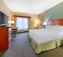 Best Western Plus Walla Walla Suites Inn Room