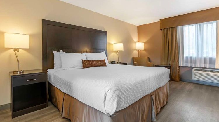Best Western Inn of Vancouver Room