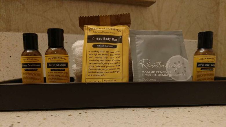 <b>Best Western Plus Dayton Hotel & Suites Other</b>. Images powered by <a href="https://iceportal.shijigroup.com/" title="IcePortal" target="_blank">IcePortal</a>.