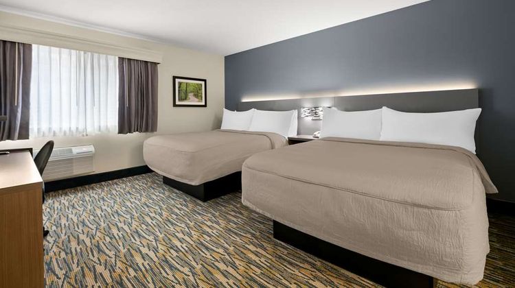 Best Western Inn Room