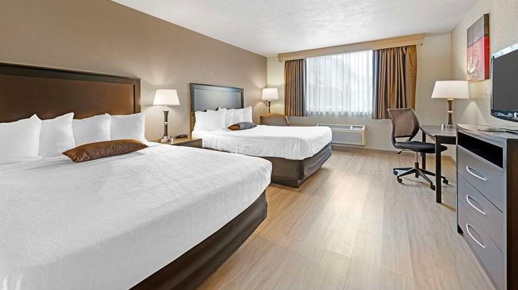 Best Western Green Bay Inn Room