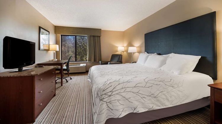 Best Western Park Oasis Inn Room