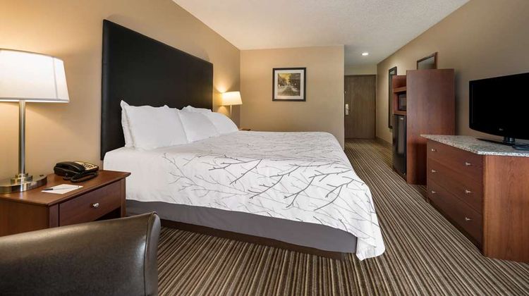 Best Western Park Oasis Inn Room