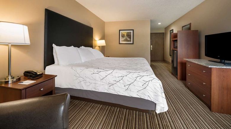 <b>Best Western Park Oasis Inn Room</b>. Images powered by <a href="https://iceportal.shijigroup.com/" title="IcePortal" target="_blank">IcePortal</a>.