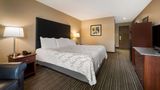 <b>Best Western Park Oasis Inn Room</b>. Images powered by <a href="https://iceportal.shijigroup.com/" title="IcePortal" target="_blank">IcePortal</a>.