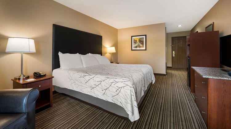 Best Western Park Oasis Inn Room