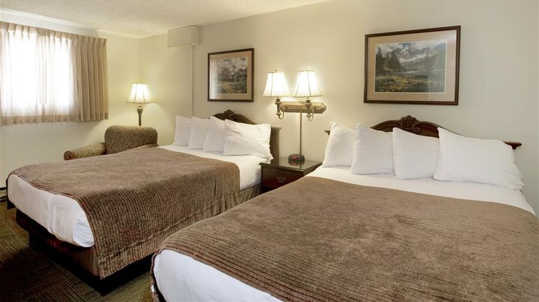 <b>Best Western Torchlite Motor Inn Room</b>. Images powered by <a href="https://iceportal.shijigroup.com/" title="IcePortal" target="_blank">IcePortal</a>.