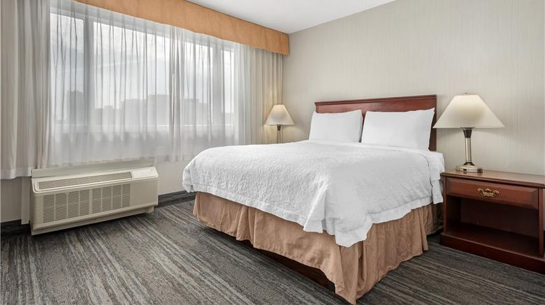 <b>Best Western Plus Suites Downtown Room</b>. Images powered by <a href="https://iceportal.shijigroup.com/" title="IcePortal" target="_blank">IcePortal</a>.