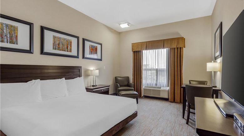 <b>Best Western Wainwright Inn & Suites Room</b>. Images powered by <a href="https://iceportal.shijigroup.com/" title="IcePortal" target="_blank">IcePortal</a>.