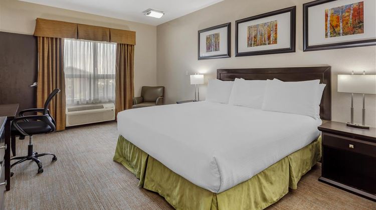 Best Western Wainwright Inn & Suites Room