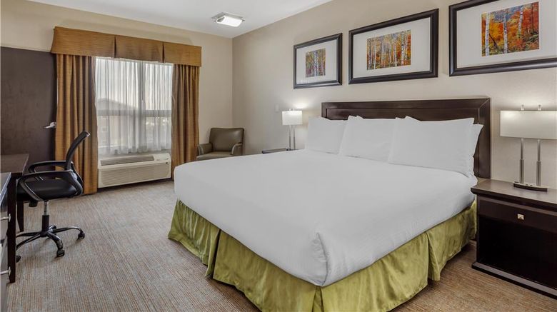 <b>Best Western Wainwright Inn & Suites Room</b>. Images powered by <a href="https://iceportal.shijigroup.com/" title="IcePortal" target="_blank">IcePortal</a>.