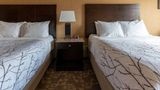 Best Western Plus South Edmonton Inn/Ste Room