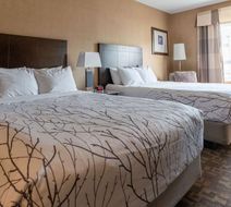 Best Western Plus South Edmonton Inn/Ste Room
