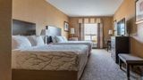 Best Western Plus South Edmonton Inn/Ste Room
