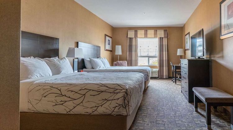 Best Western Plus South Edmonton Inn/Ste Room