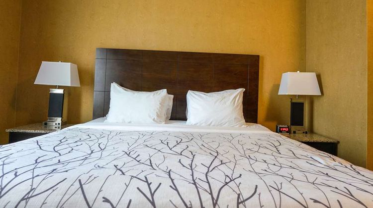 Best Western Plus South Edmonton Inn/Ste Room