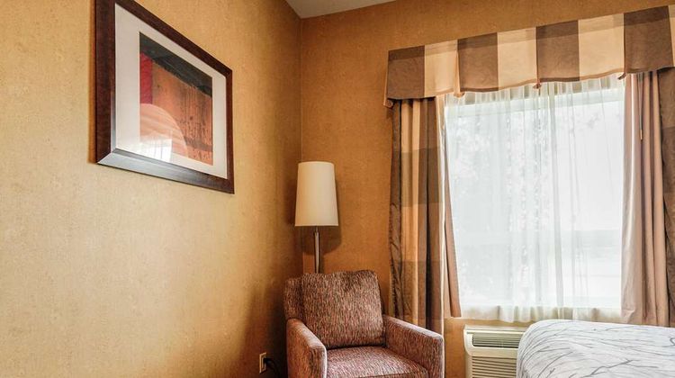 Best Western Plus South Edmonton Inn/Ste Room