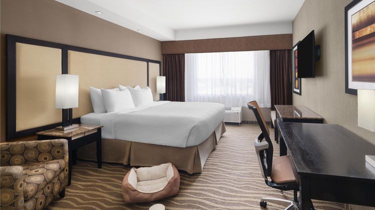 Best Western Premier Freeport Inn/Stes Room