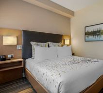 Best Western Plus Sawridge Suites Room