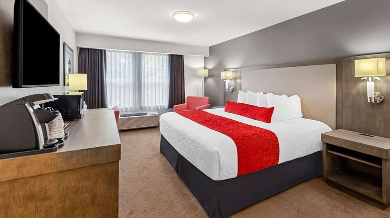 <b>Best Western Cowichan Valley Inn Room</b>. Images powered by <a href="https://iceportal.shijigroup.com/" title="IcePortal" target="_blank">IcePortal</a>.