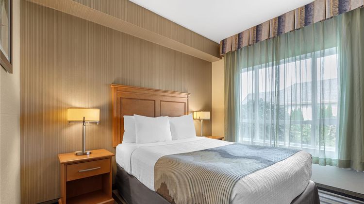 Best Western King George Inn & Suites Room