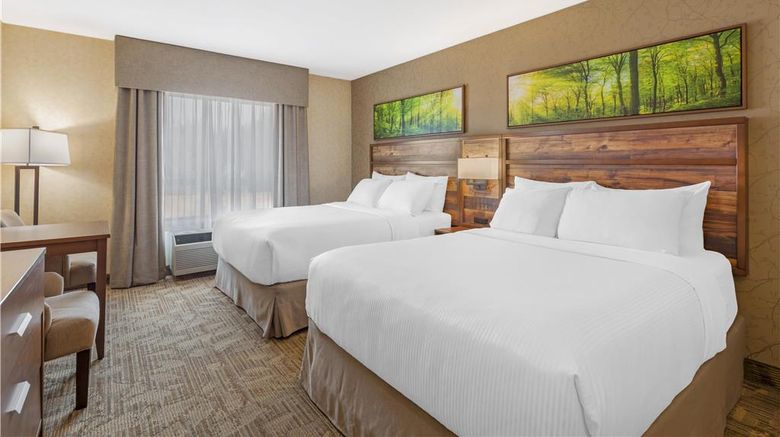 <b>Best Western Plus Valemount Inn & Suites Room</b>. Images powered by <a href="https://iceportal.shijigroup.com/" title="IcePortal" target="_blank">IcePortal</a>.