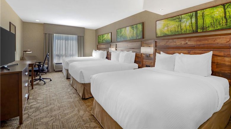 <b>Best Western Plus Valemount Inn & Suites Room</b>. Images powered by <a href="https://iceportal.shijigroup.com/" title="IcePortal" target="_blank">IcePortal</a>.