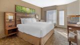 Best Western Plus Valemount Inn & Suites Room