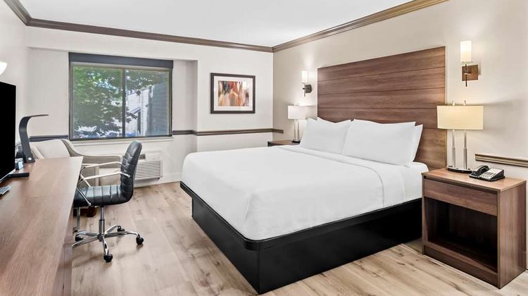 Best Western Maple Ridge Hotel Room