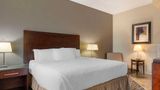 <b>Best Western Plus Brandon Inn Room</b>. Images powered by <a href="https://iceportal.shijigroup.com/" title="IcePortal" target="_blank">IcePortal</a>.