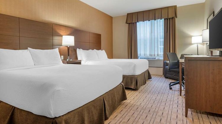 Best Western Plus Bathurst Hotel & Stes Room